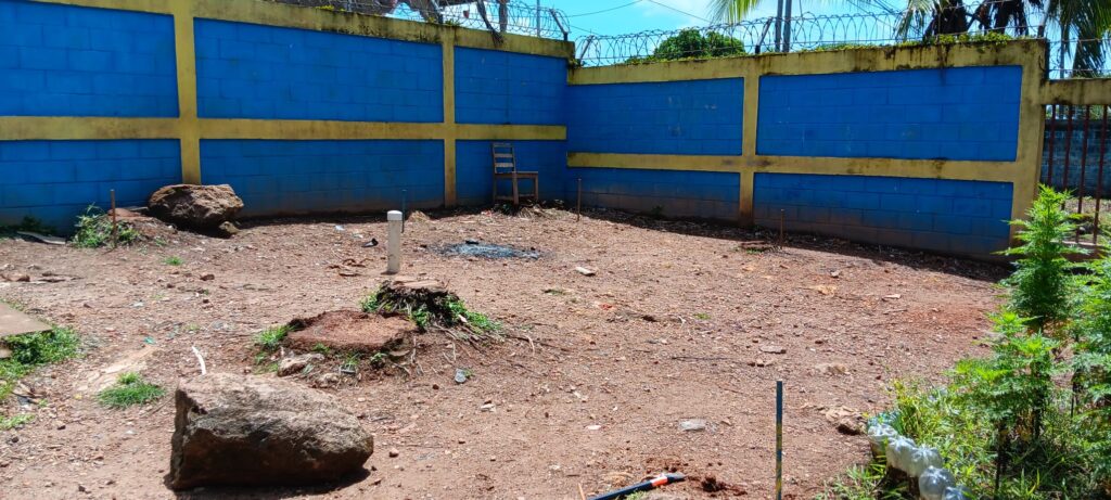 The site